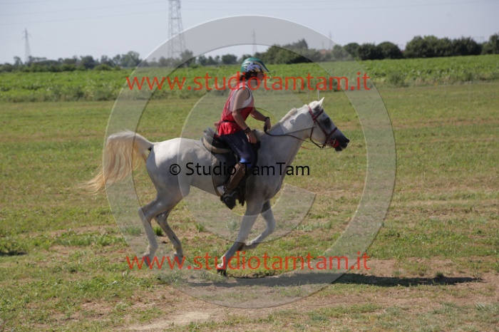 MAT_3958.JPG