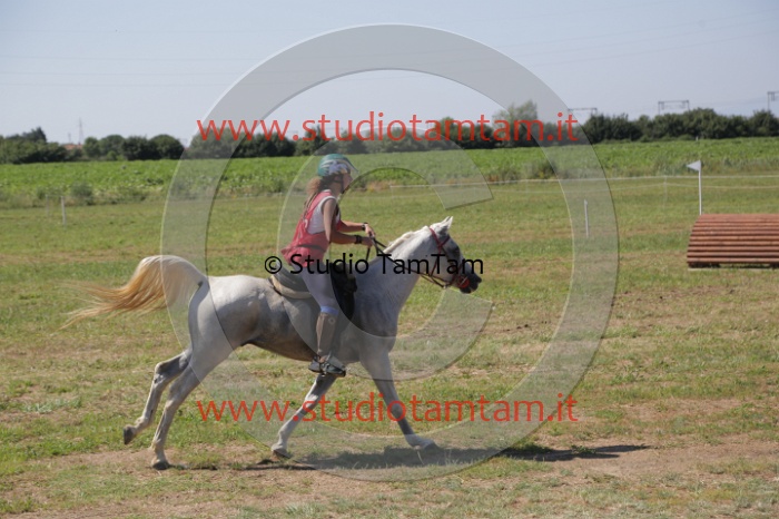 MAT_3960.JPG