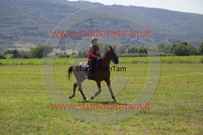 MAT_3964.JPG
