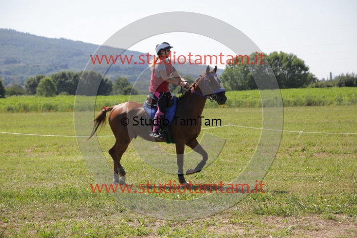 MAT_3970.JPG