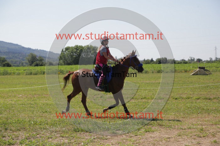 MAT_3972.JPG