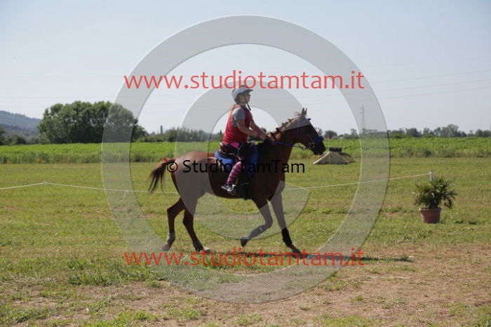 MAT_3974.JPG