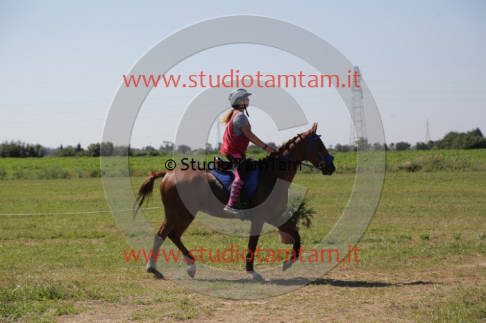 MAT_3975.JPG