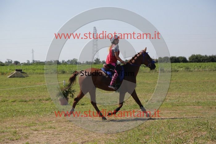 MAT_3977.JPG