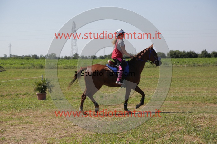 MAT_3978.JPG