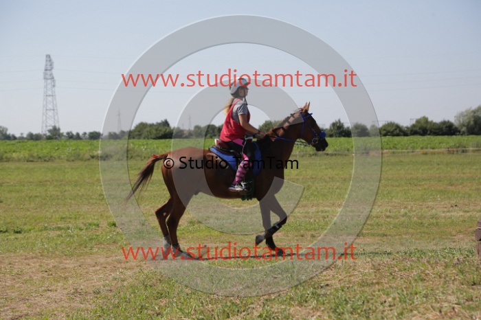 MAT_3979.JPG