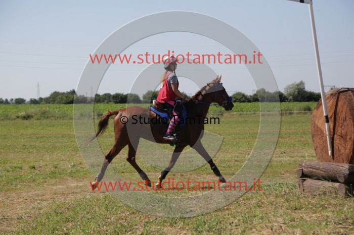 MAT_3980.JPG