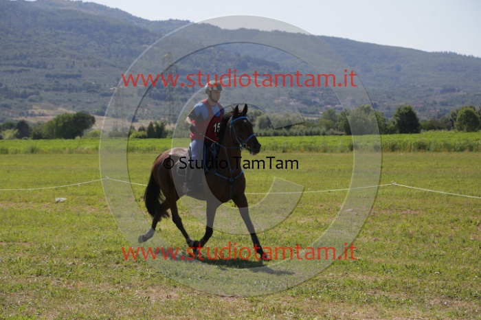 MAT_4003.JPG