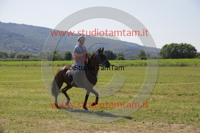 MAT_4006.JPG