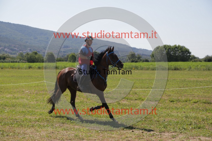 MAT_4007.JPG