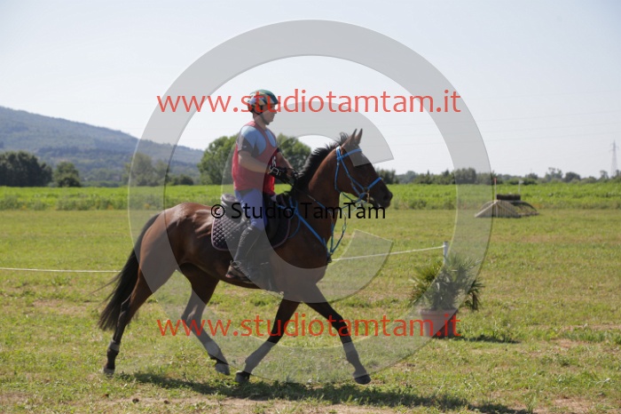 MAT_4009.JPG