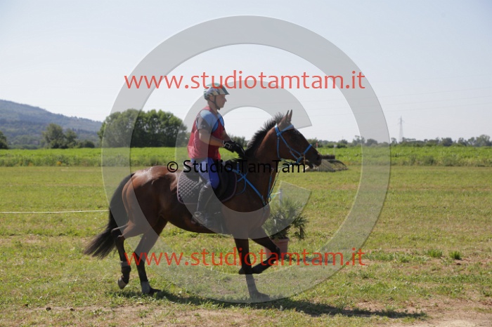 MAT_4010.JPG