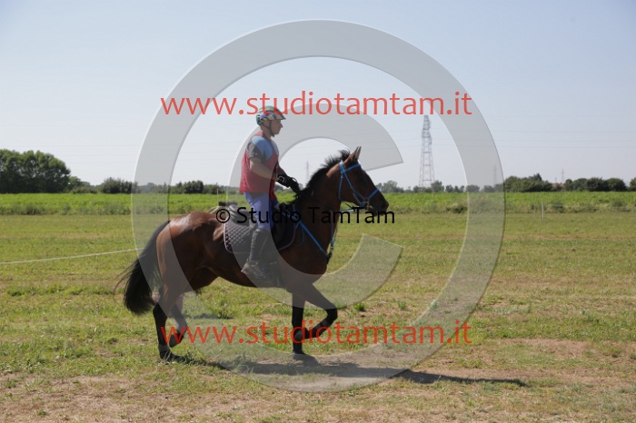 MAT_4012.JPG
