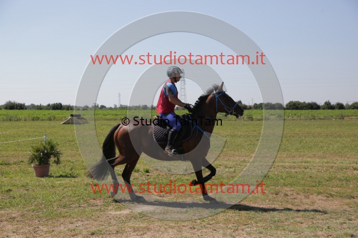 MAT_4013.JPG