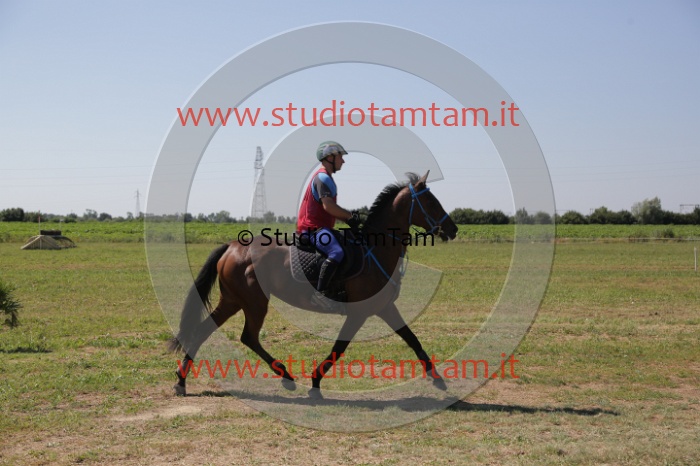 MAT_4014.JPG