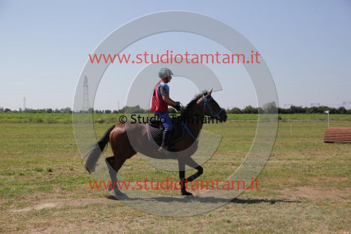 MAT_4015.JPG