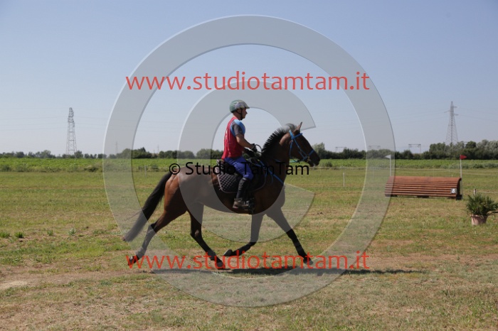MAT_4016.JPG