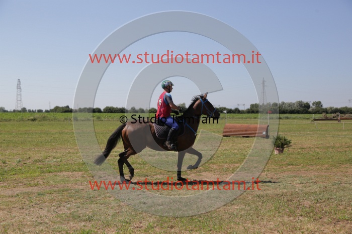 MAT_4017.JPG