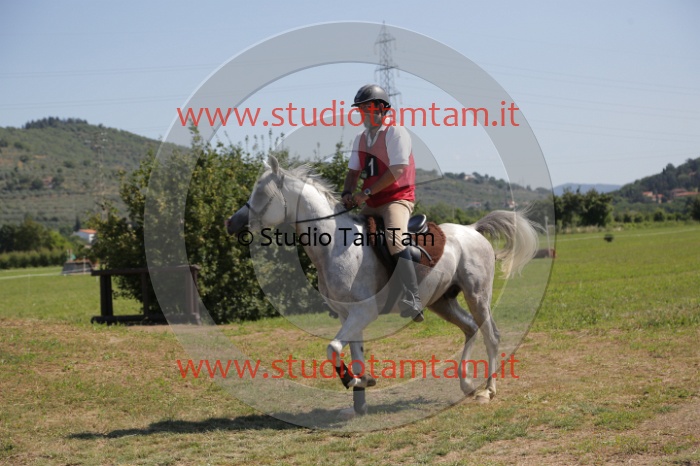 MAT_4026.JPG