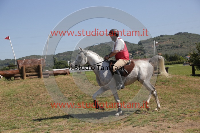 MAT_4031.JPG