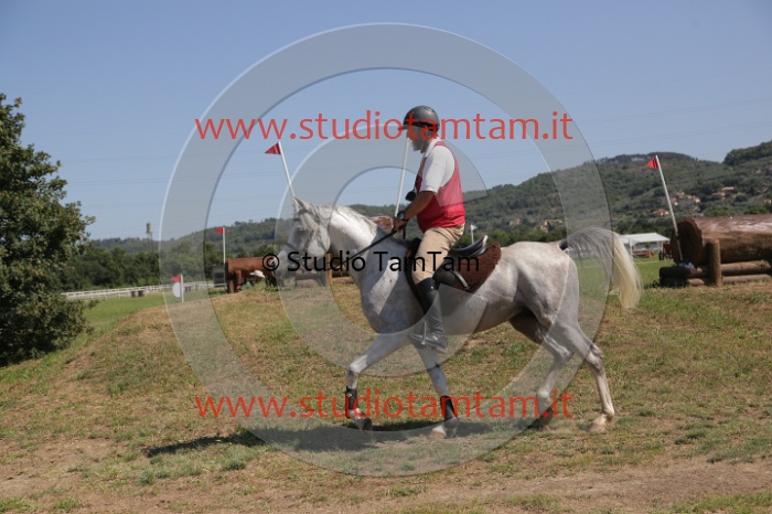 MAT_4033.JPG