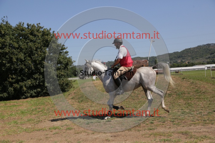 MAT_4034.JPG