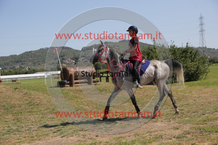 MAT_4047.JPG