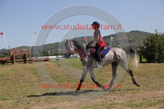 MAT_4048.JPG