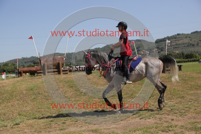 MAT_4049.JPG