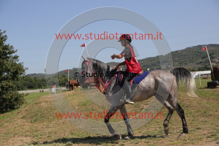 MAT_4051.JPG
