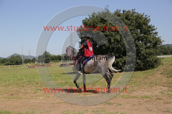 MAT_4057.JPG