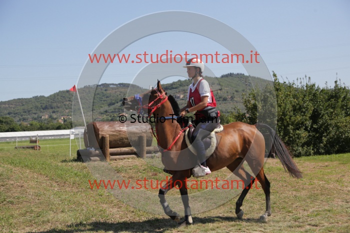 MAT_4115.JPG