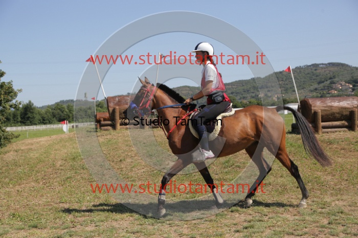 MAT_4118.JPG