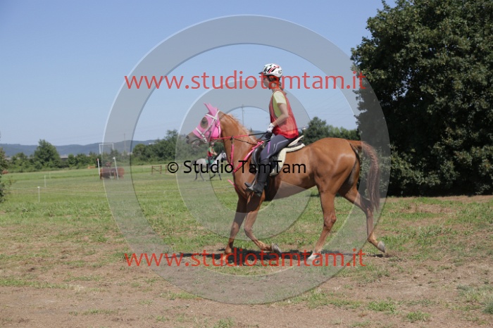 MAT_4142.JPG