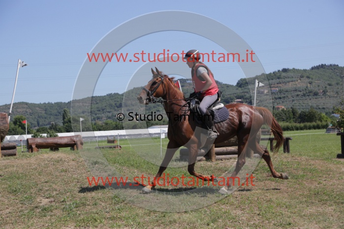 MAT_4182.JPG