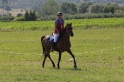 MAT_3882