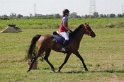 MAT_3893