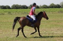 MAT_3898