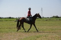 MAT_3909