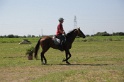 MAT_3910