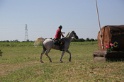 MAT_3929