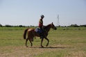 MAT_3942