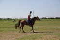 MAT_3943