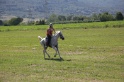 MAT_3947