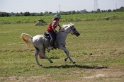 MAT_3956