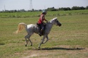 MAT_3958