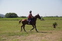 MAT_3974