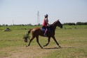 MAT_3977