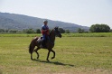 MAT_4006