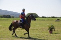 MAT_4008